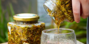 tác dụng của hoa đu đủ đực ngâm mật ong