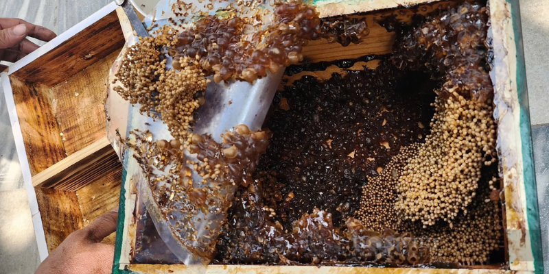 Phương pháp quản lý phù hợp