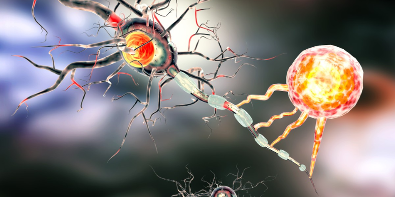 Hỗ trợ phòng ngừa ung thư